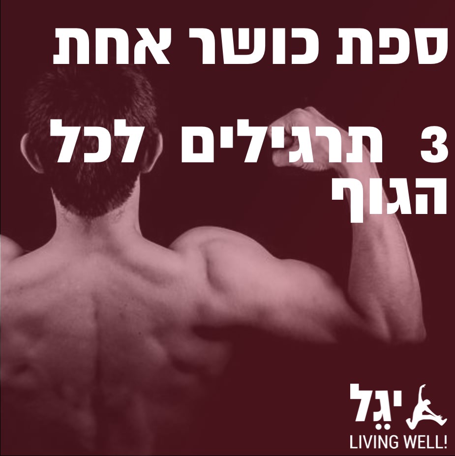 ספת כושר אחת – שלוש תוכניות אימון לכל הגוף