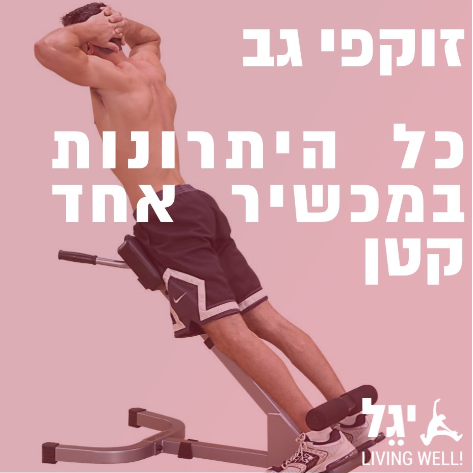 מכירים את השרירים: זוקפי הגב